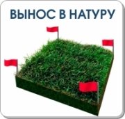 Вынос в натуру